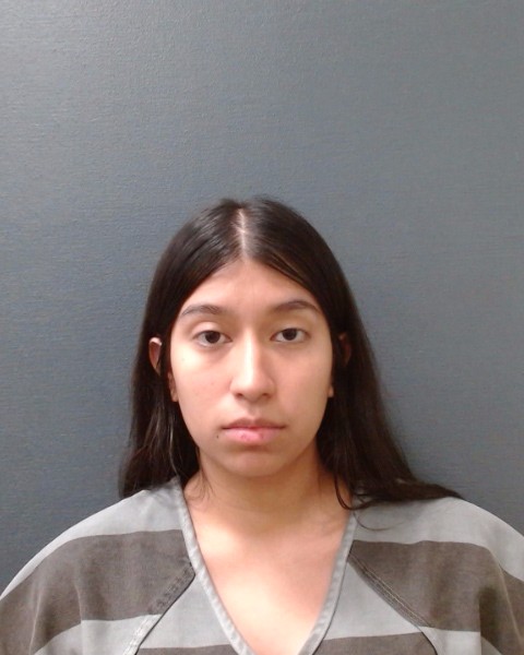 SANCHEZ-MORALES, ANAEL booking photo