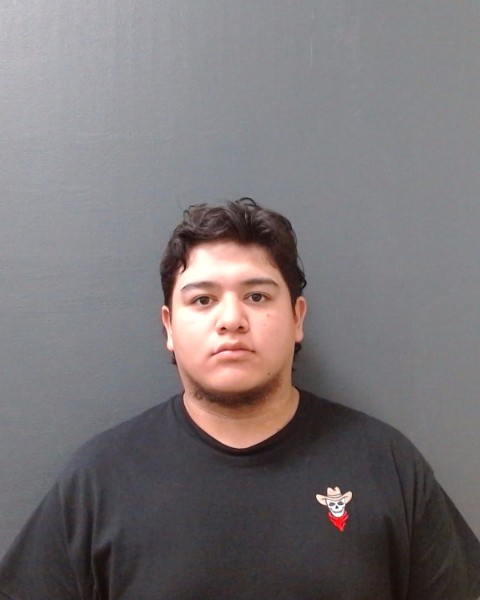 CASTILLO, GUSTAVO ADAN arrested by Comal County Sheriffs Office
