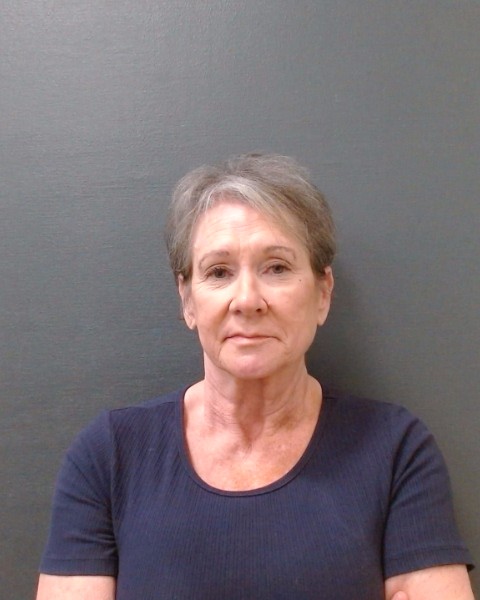HOLLEY, STEPHANI COLLEEN arrested by Comal County Sheriffs Office