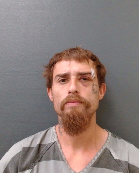 RICHMOND, AMADEUS DOMINIQUE booking photo