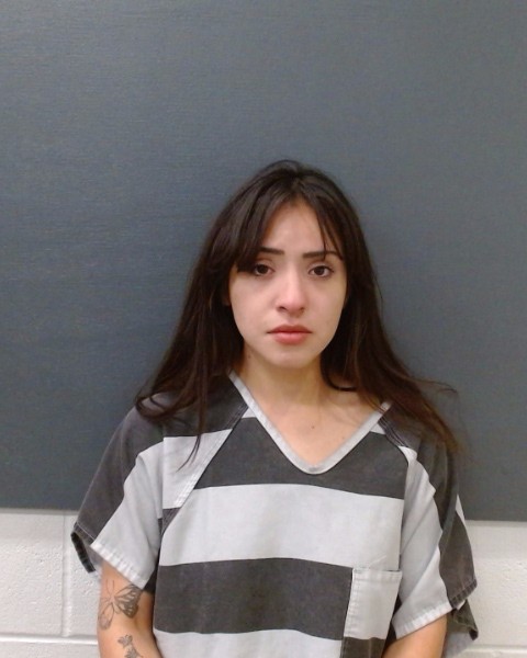 ROCHA, ISABELL DANIELLE booking photo