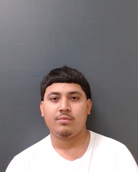 YANEZ, RAYMOND JR booking photo