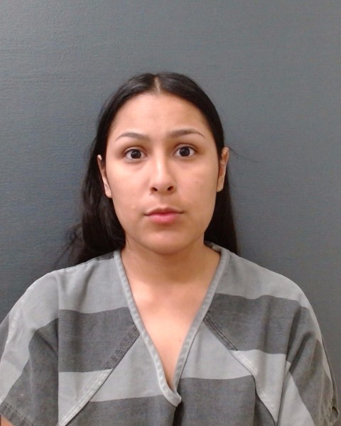 HERRERA, RODGLYNN NICHOLE booking photo