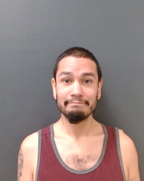 RODRIGUEZ, JESUS GARZA booking photo