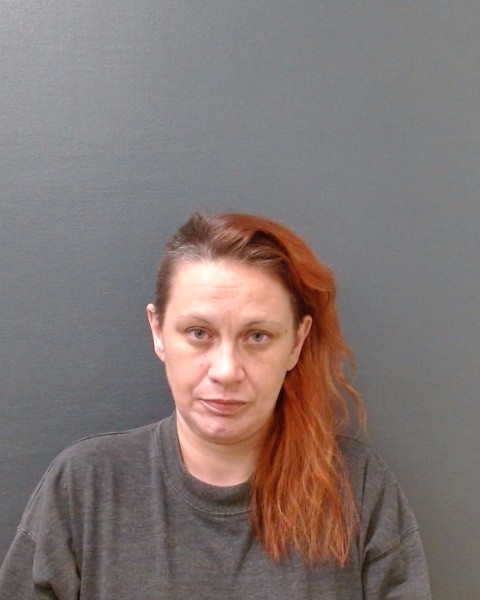 FRANCIS, CHRISTINA MARIE booking photo