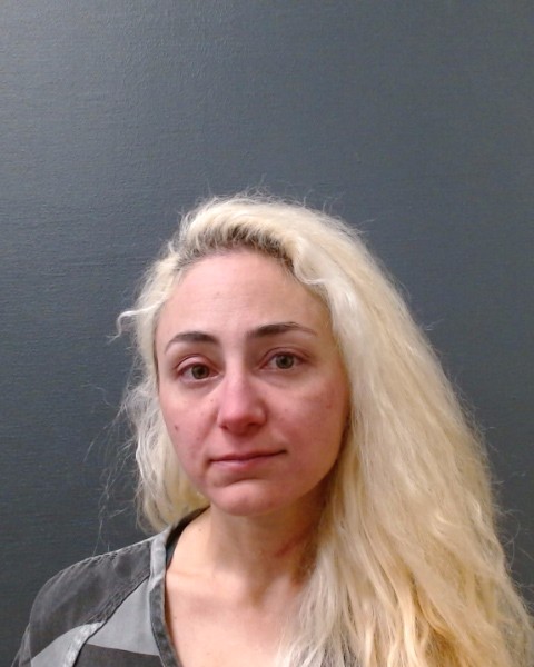 MOUSSOUNI, CHELSEA NICOLE booking photo