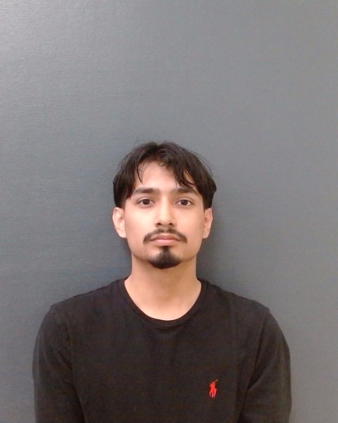 SANDOVAL SAAVEDRA, LUIS EDUARDO booking photo