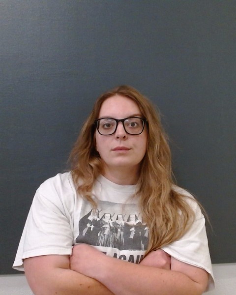 MCCLELLAN, HOLLY JANE booking photo