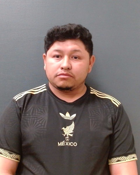 GONZALEZ-GALLEGOS, JOSE ANGEL booking photo