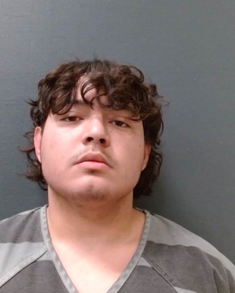 TORREZ, ALEX JULIAN RAY booking photo