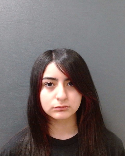 GONZALES, ARI MAE booking photo