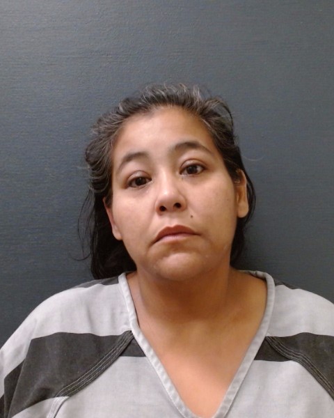 CERVANTES, PRISCILLA ELECTRA booking photo