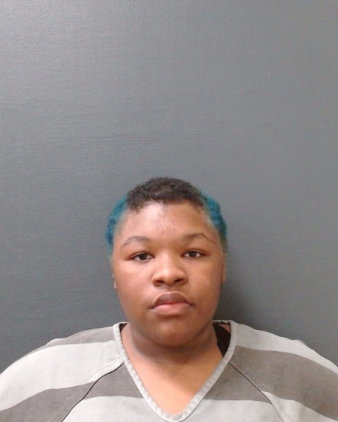 LONG, BREANNA NEVAEH SUQUELIA booking photo