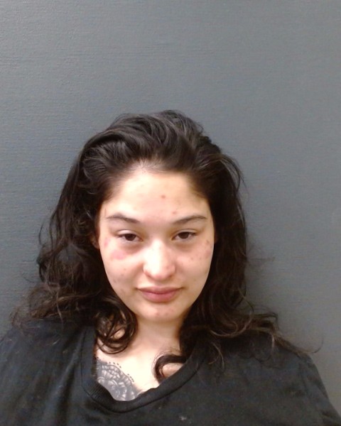 ALDAPE, PRISCILLA booking photo