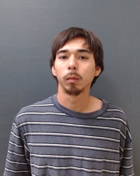 ALCANTARA, ANIMUS IAN booking photo