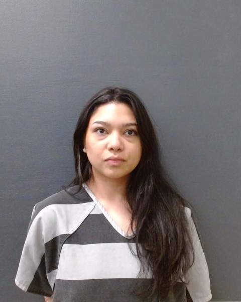 ARMENDARIZ, DANIELLE EVE booking photo