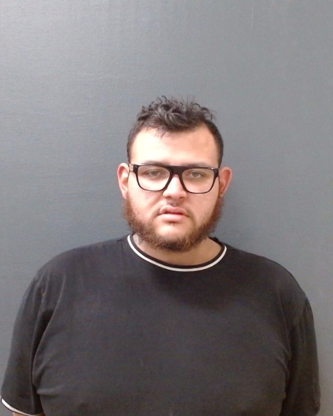 SANTOS, JOHNNY, Jr. booking photo