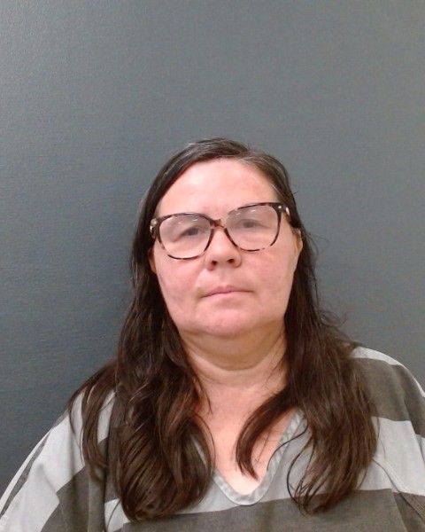 VAN LANDUYT, STEPHANIE POLDINE booking photo