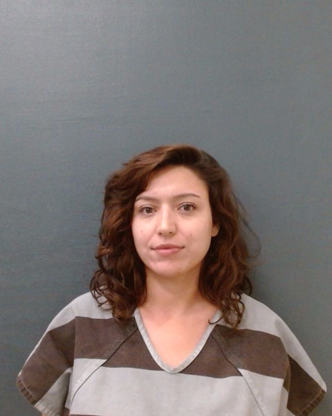 PEARSON, CAITLIN RENEE booking photo