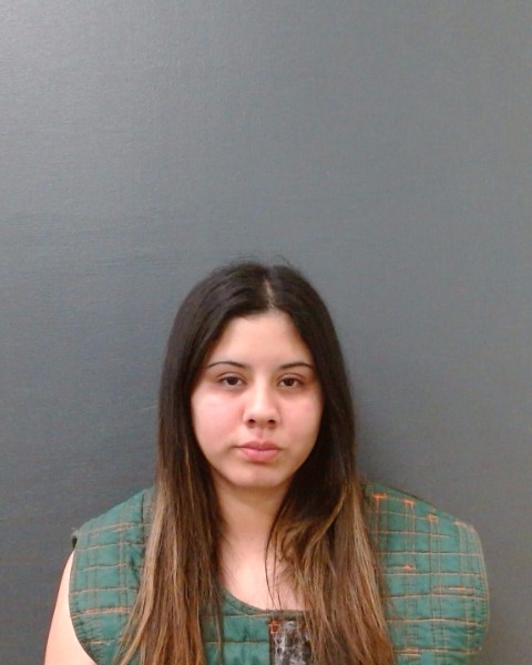 TELLEZ ROBLES, EVELYN booking photo