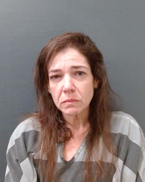 SCOTT, APRIL DAWN booking photo