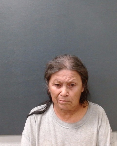 SAENZ, MARY ELIZABETH booking photo