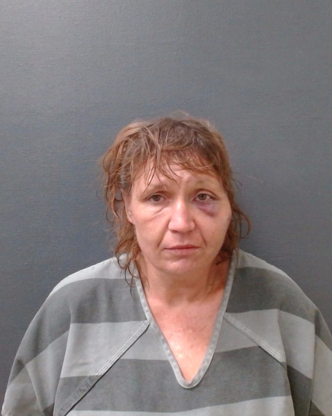 STEEN, CRYSTAL JANELLE booking photo