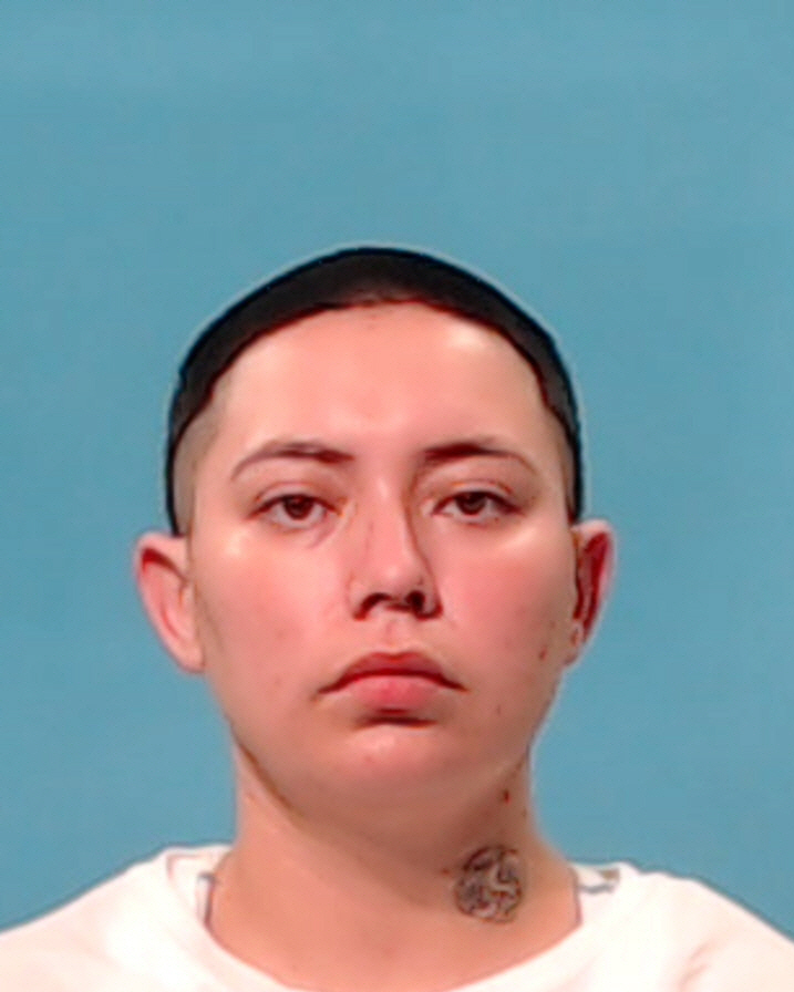 Mendietta, Connie Marie booking photo