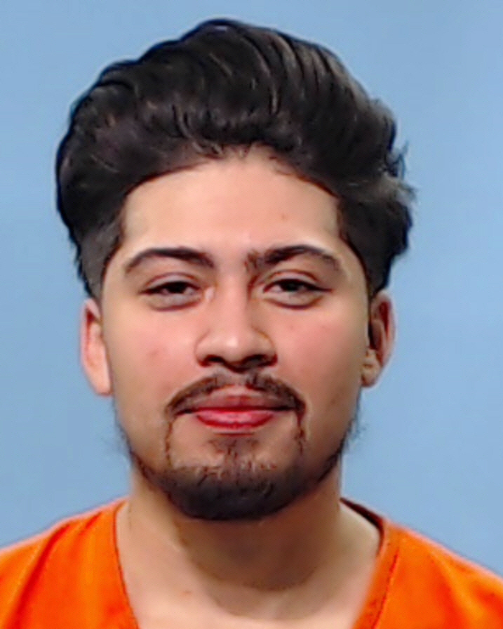 PICHARDO, RENE JR booking photo