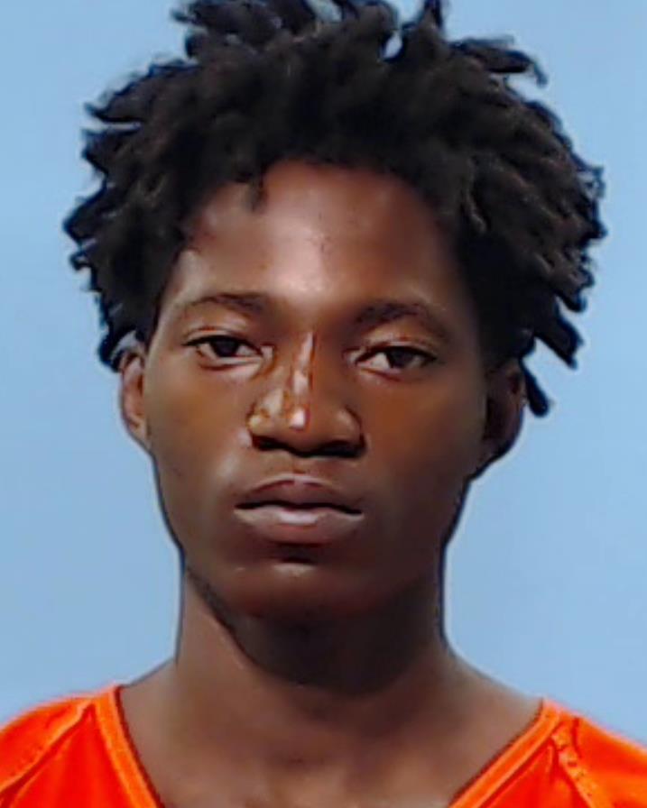 JOHNSON JR, DWAYNE booking photo