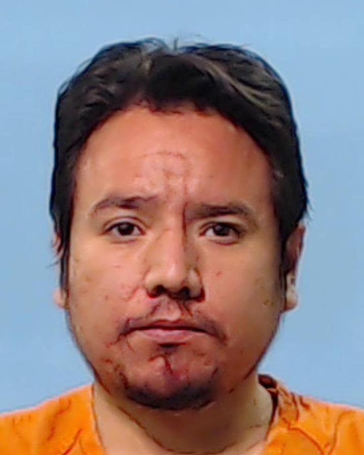 LAGUNA ALVARADO, ISMAEL booking photo