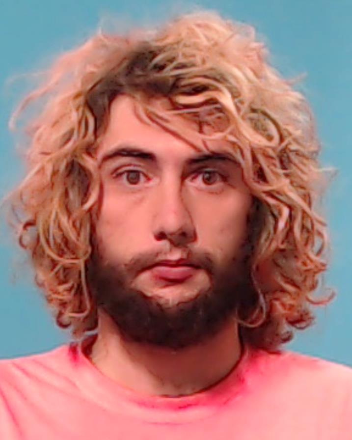 Dixon, Dyrl Lee booking photo