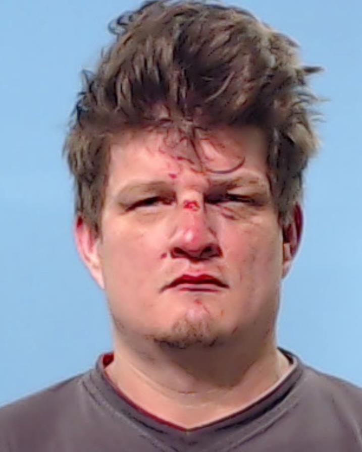 LANTZ, MARTIN LYNN booking photo