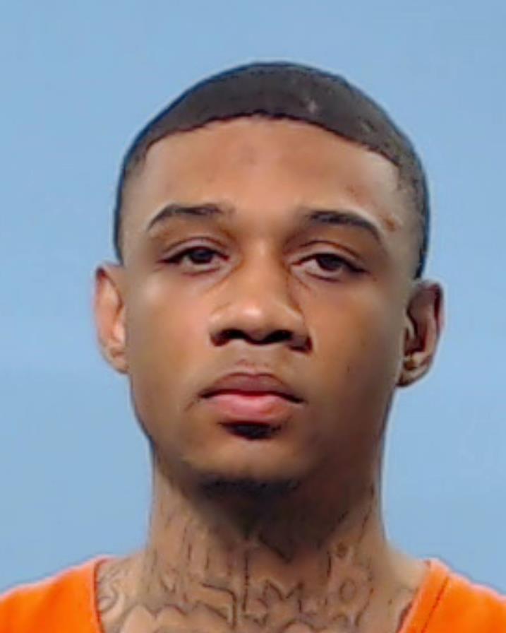 JOHNSON, ARJE booking photo