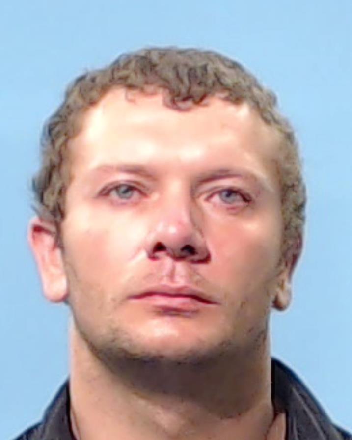 WANEK, STEVEN MICHAEL booking photo