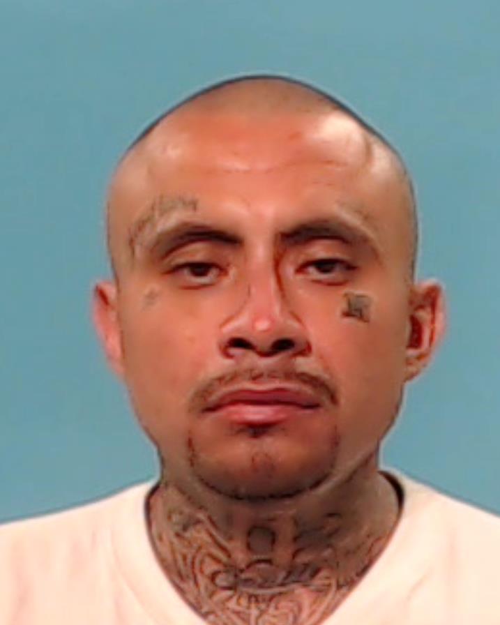 Flores, Martin booking photo