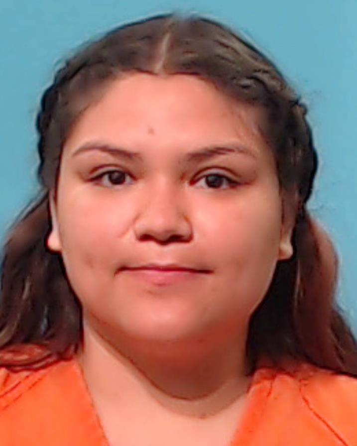 FOWLER, DANIELLE MICHELLE booking photo