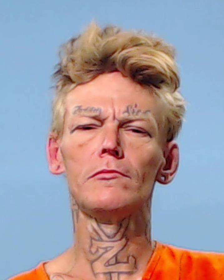 Wise, Christopher A. arrested by Brazoria County SO/PD