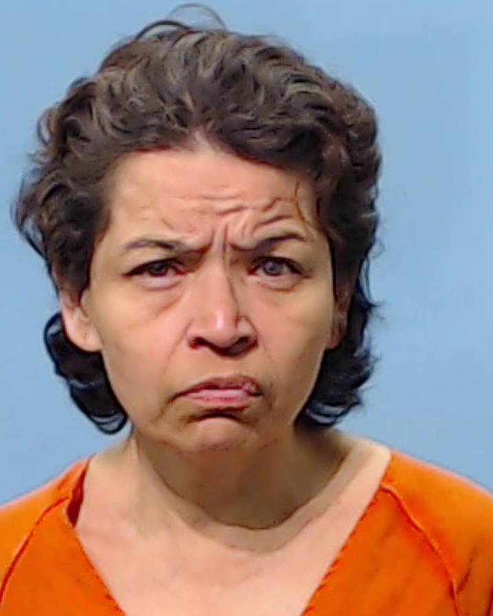 Llanes, Maribel booking photo