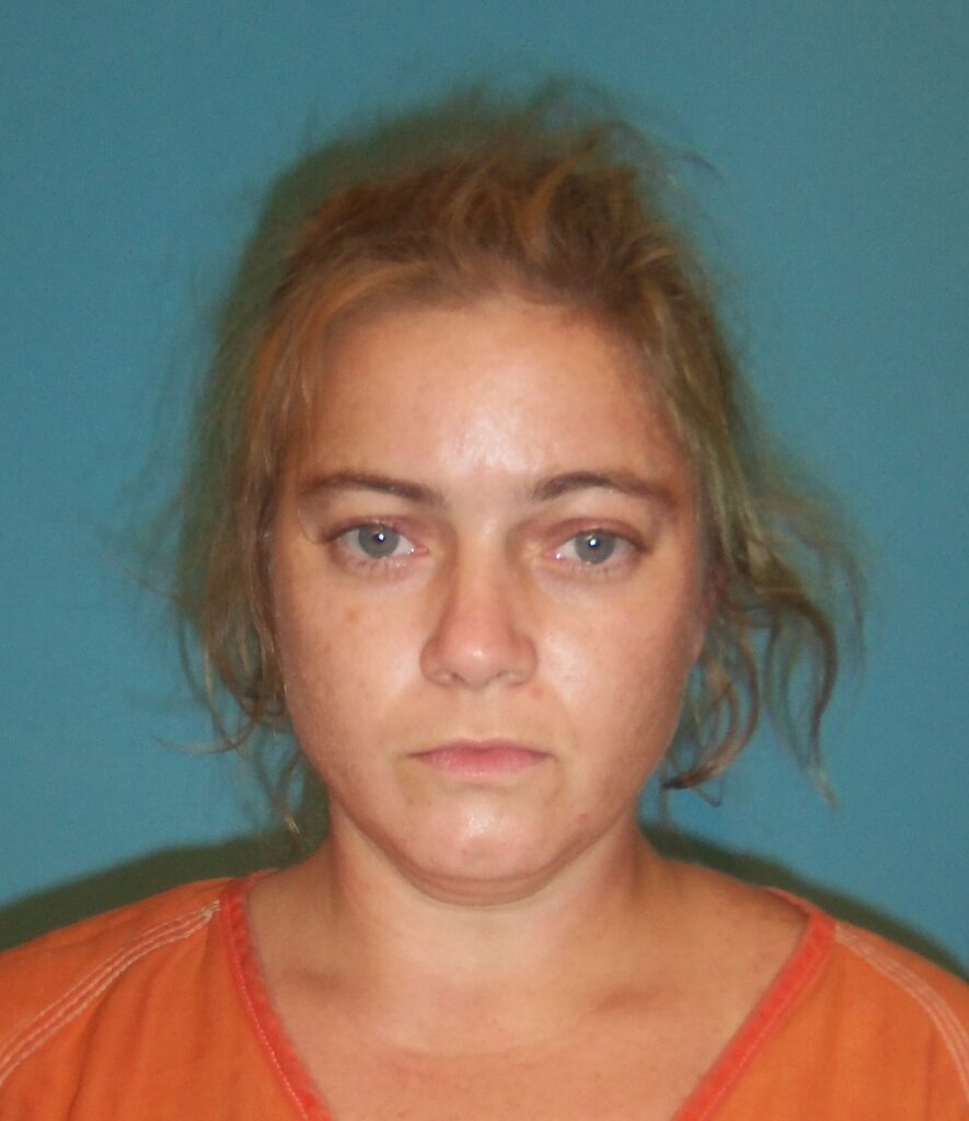 SCHURTZ, JESSICA arrested in Brazoria County, Texas mugshot
