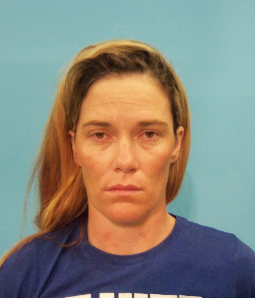 Medler, April Eileen arrested in Brazoria County, Texas mugshot