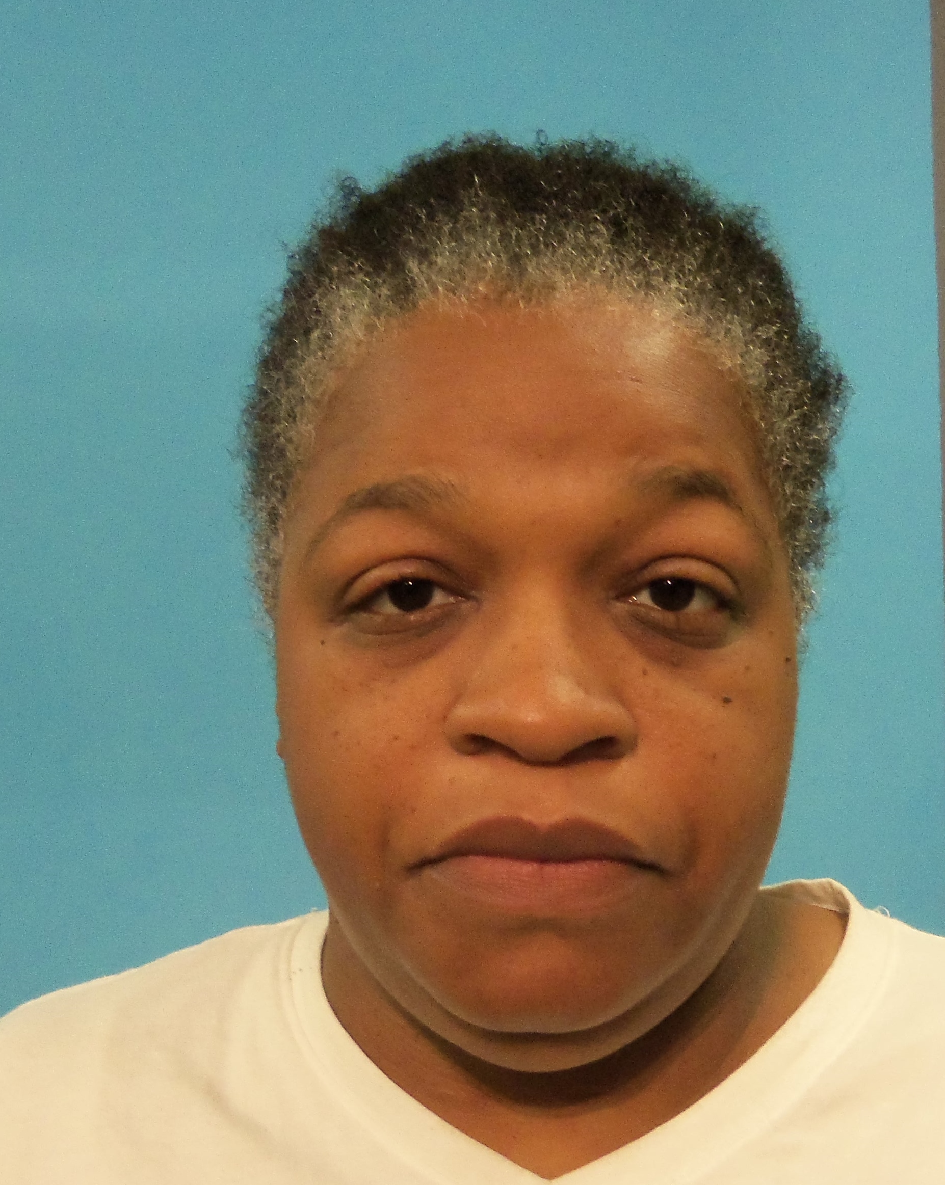 RICHARDSON, MISTY NICOLE booking photo
