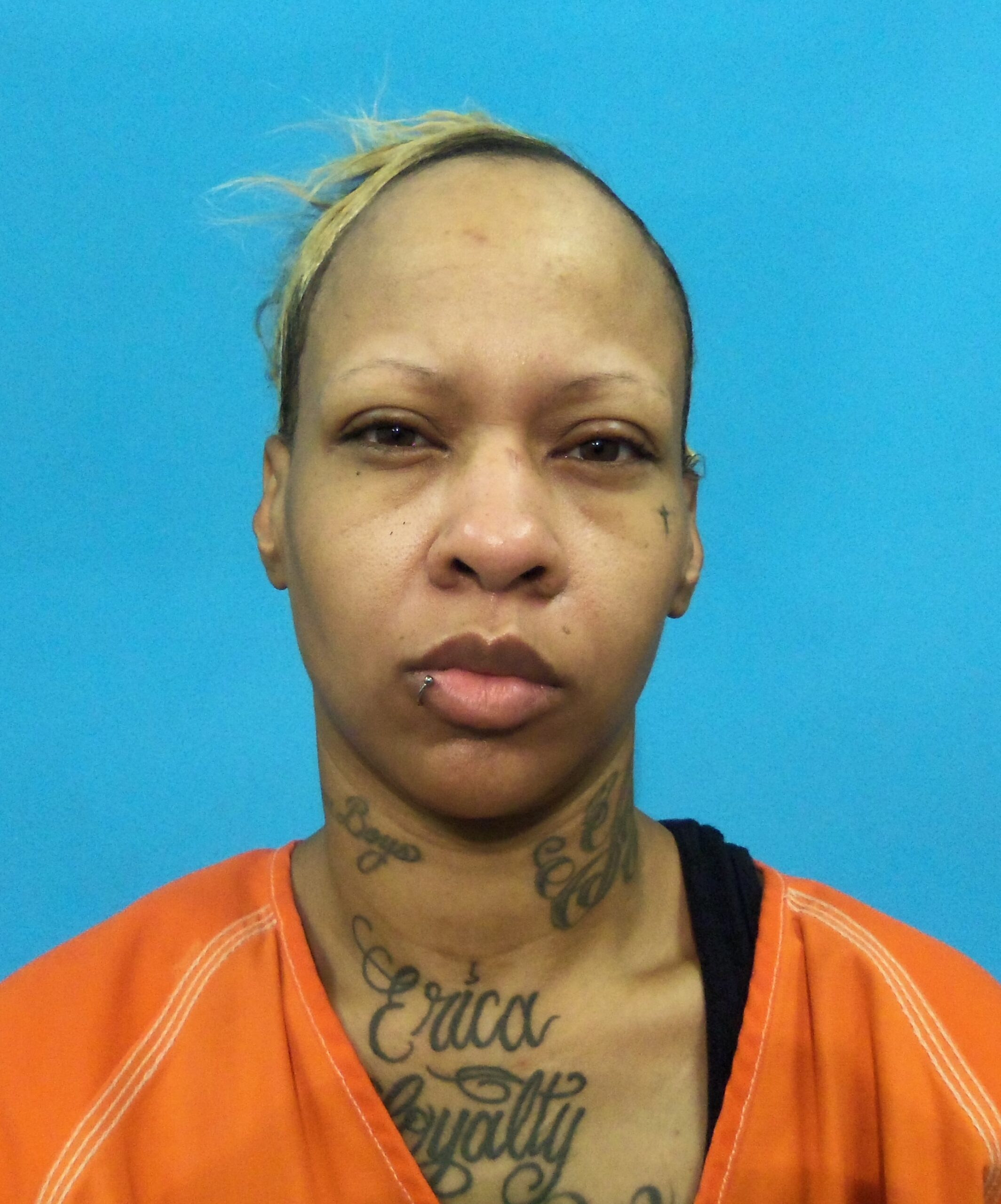 Johnwell, Charlesette Lezette booking photo