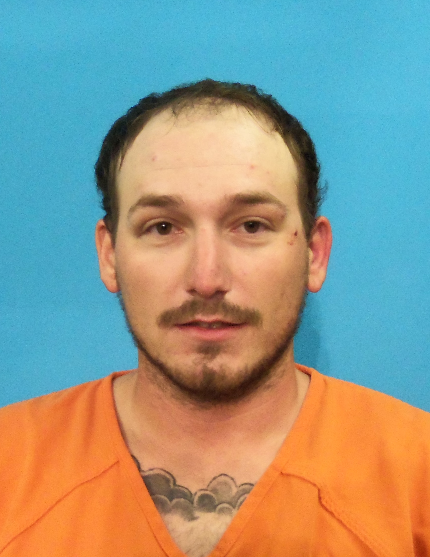 MCGINNIS, AUSTIN THOMAS EDWARD booking photo