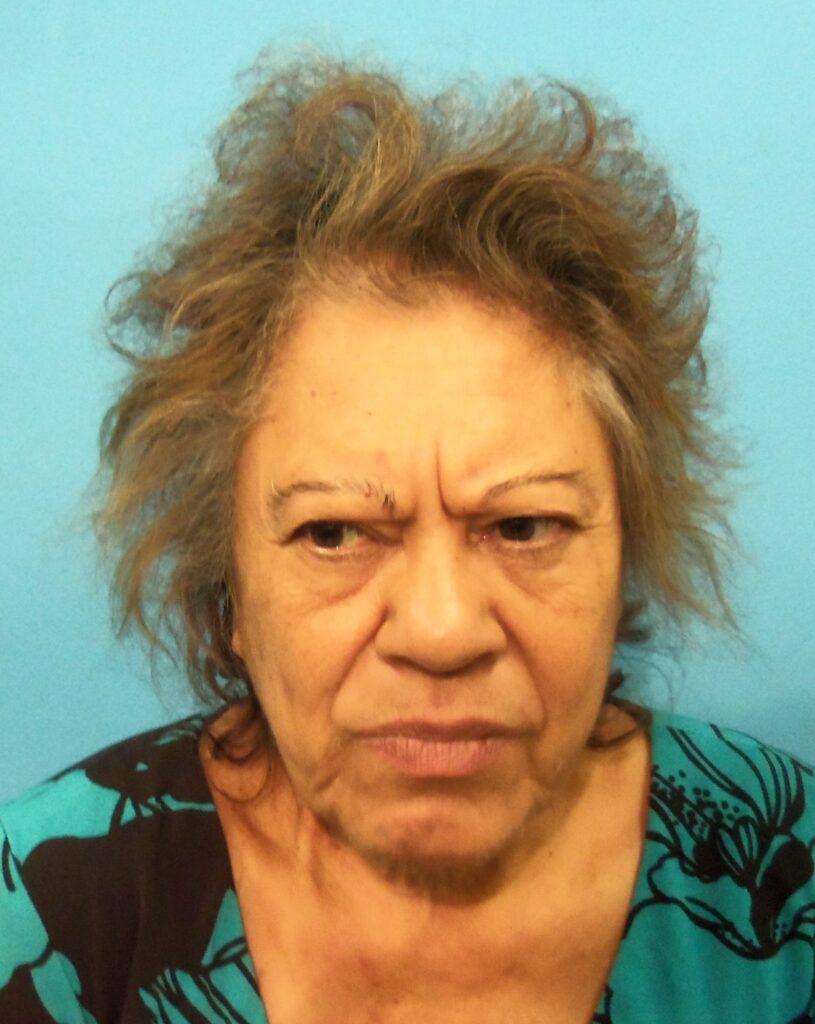 Hernandez, Carmen B arrested in Brazoria County, Texas mugshot