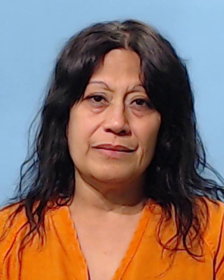 Davila, Becky Ann booking photo