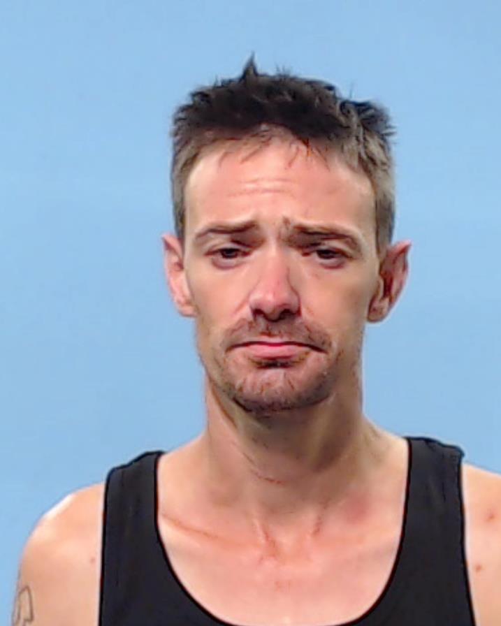 WILSON, MICHAEL ROY booking photo