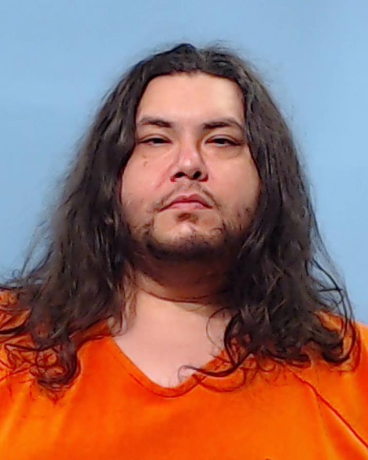 LLANES, LEE booking photo