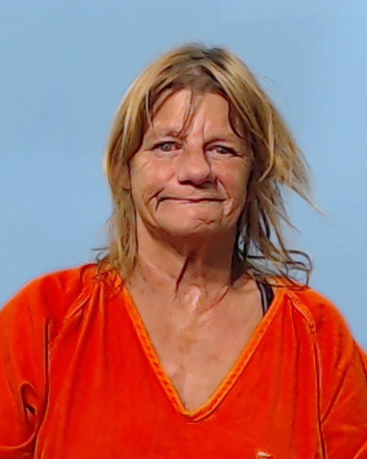 BREWER, TERRIE GAY booking photo
