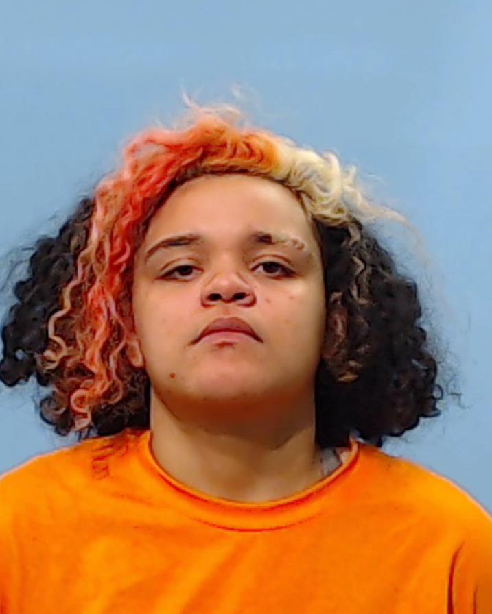 HEILEMAN, BRITTANY booking photo